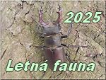 Letna fauna